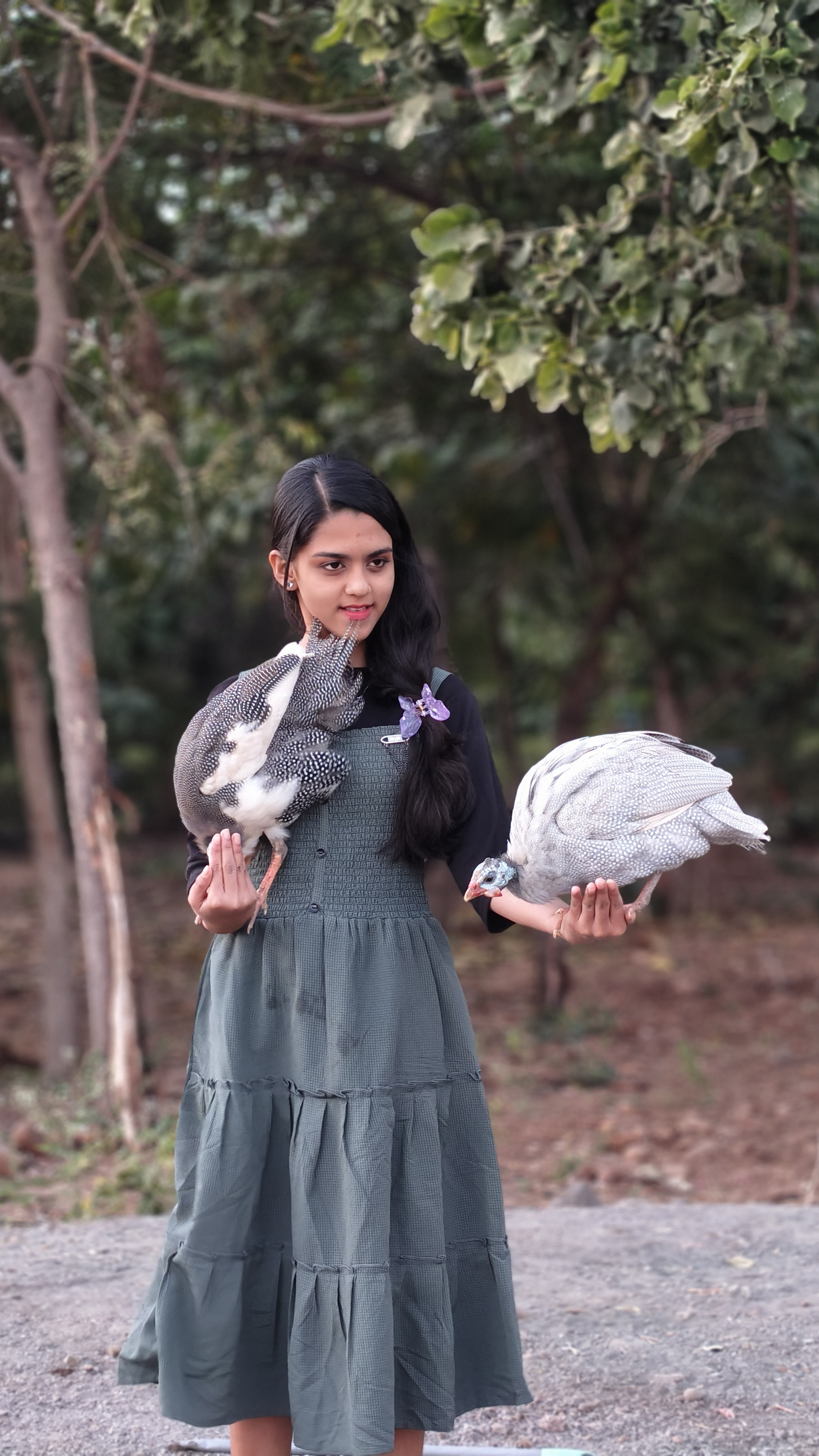 Bird Park