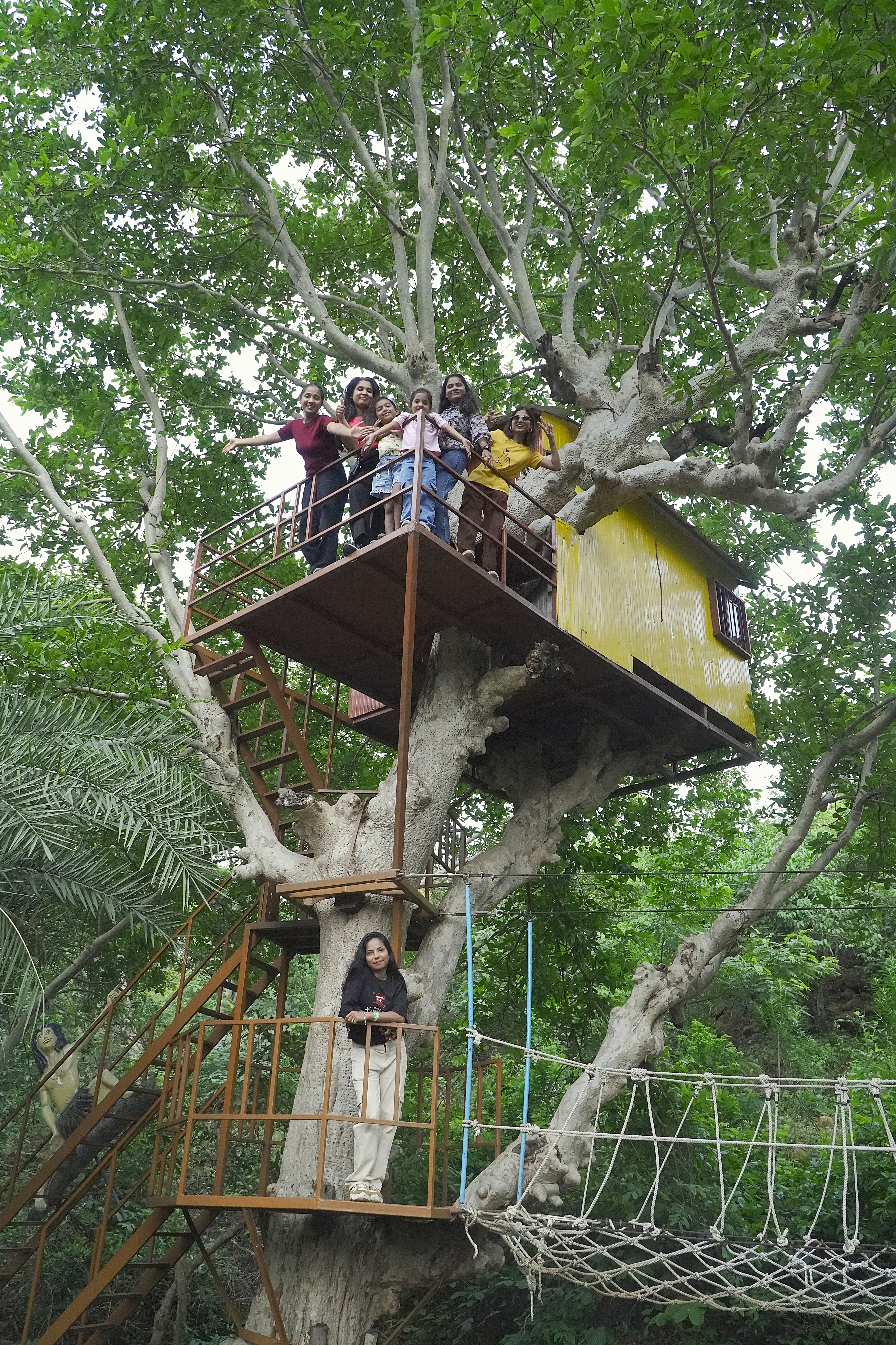 Tree House